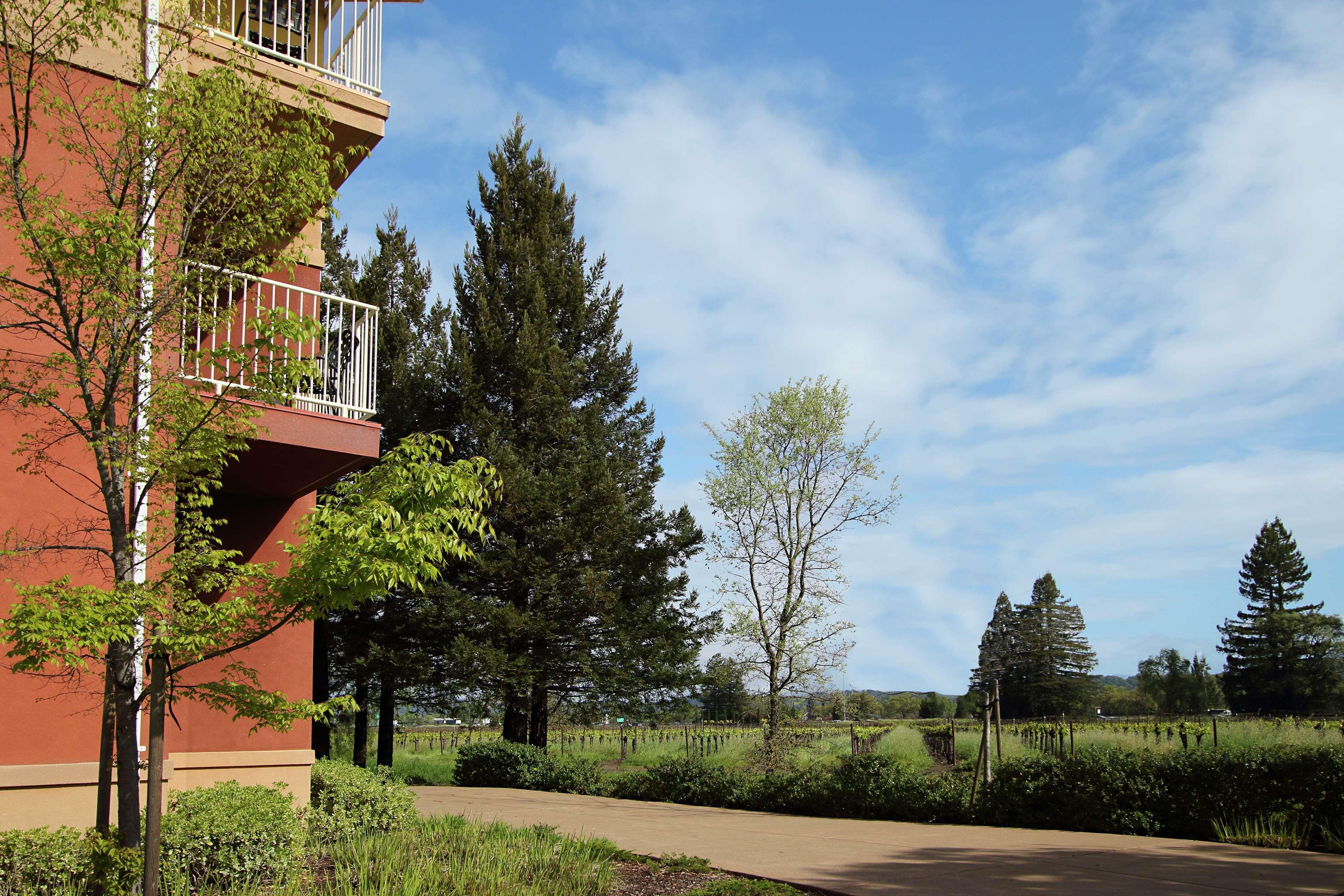 Hilton Garden Sonoma County Airport 3* Santa Rosa
